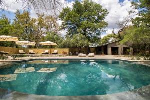 Una piscina con agua azul en un patio. en Little Africa Safari Lodge, en Hoedspruit
