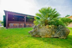 Bonsai B&B Alghero外面的花园