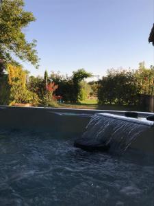 une piscine avec de l'eau qui en sort dans l'établissement Le Hameau du Buron - "Le Petit Buron" - Option SPA, à Eyzin-Pinet