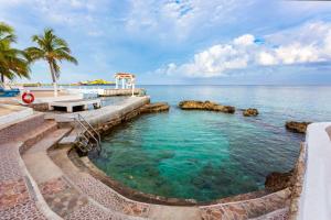 una piscina vicino all'oceano con palme di Cozumel Hotel & Resort a Cozumel