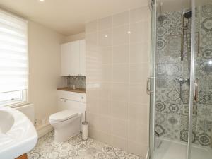 a bathroom with a shower and a toilet and a sink at Nookie Cottage in Dartmouth +34 photos