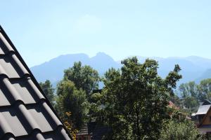 Príroda v okolí apartmánu
