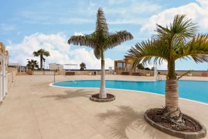 two palm trees in front of a swimming pool at Apartamento El Porís in Arico