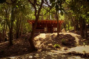 une cabane en rondins au milieu d'une forêt dans l'établissement Finca La Colorada, à San Salvador de Jujuy