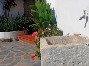A garden outside Casa rural As Túnel