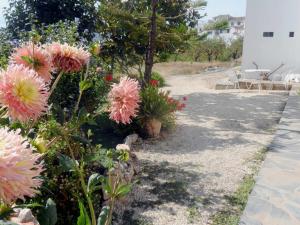 A garden outside Casa rural As Túnel