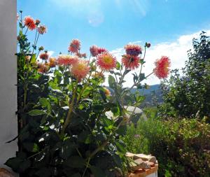 A garden outside Casa rural As Túnel