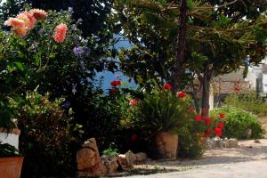 A garden outside Casa rural As Túnel