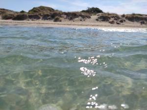 a body of water with a beach in the background at Casa Mediterranea Jacuzzi riscaldata con Caminetto in Specchiolla