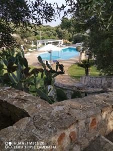 a pool with an umbrella and a stone wall at Casetta Letizia in Ostuni