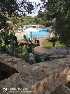 The swimming pool at or close to Casetta Letizia