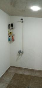 een witte muur met een douche in de kamer bij Green House in Kachretʼi