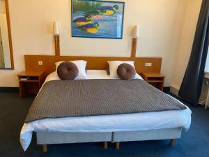 ルーヴェンにあるホテル プロフェッサーのベッドルーム1室(大型ベッド1台、枕2つ付)