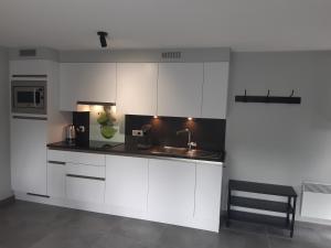 Kuchyň nebo kuchyňský kout v ubytování Bee Tree Appartement