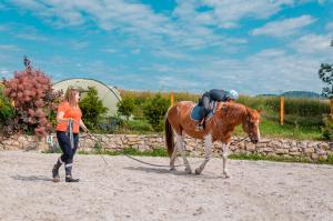 Animals a la tenda de luxe o a prop
