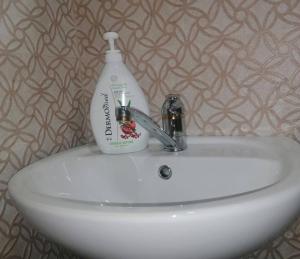 a bottle of detergent sitting on top of a sink at Log cabin 2 Merdovic in Mojkovac