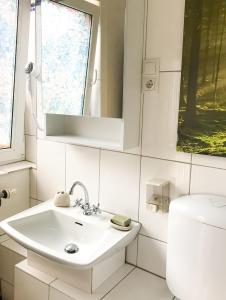 ein Bad mit einem Waschbecken und einem WC in der Unterkunft Transylvania Escape in Richişu