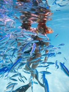 Majutusasutuse Shallow Lagoon Rasdhoo külastajad