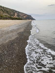 Ảnh trong thư viện ảnh của La Casa di Lulu' ở Palinuro