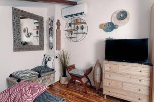 TV a/nebo společenská místnost v ubytování Studio Apartman Bohem