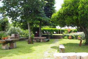 einen Garten mit Bänken, Bäumen und Gras in der Unterkunft Casa Dos Gomes in Viseu