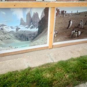 a large picture of penguins on the side of a building at Departamento Kran in Punta Arenas
