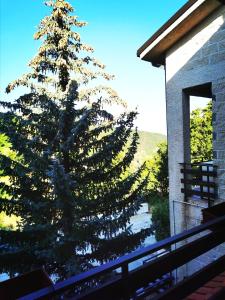 duże choinki świąteczne przed budynkiem w obiekcie Chalet Mon Amour w mieście Campo di Giove