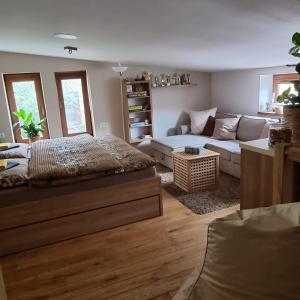 a living room with a bed and a couch at Apartmány 235 - 3 in Jaroměř