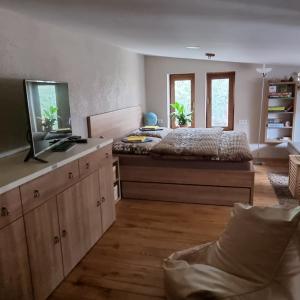 a bedroom with a bed and a flat screen tv at Apartmány 235 - 3 in Jaroměř +32 photos