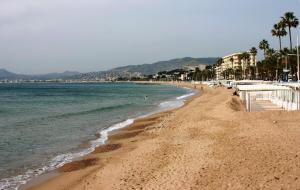a sandy beach with palm trees and the ocean at Hotel des Congrès et Festivals in Cannes