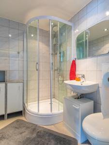 een badkamer met een douche en een wastafel bij Ferienwohnung am Starenkasten in Berumbur