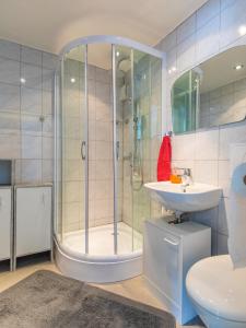 a bathroom with a shower and a sink at Ferienwohnung am Starenkasten in Berumbur +12 photos