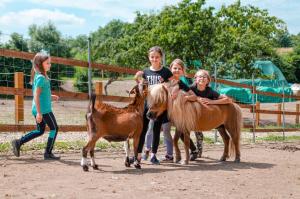 Altri animali domestici presso il campeggio di lusso o nei dintorni
