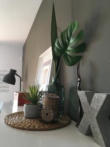 Una mesa con una planta en una cesta. en Apartamento El Robledal en Cirueña