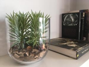 Apartamento El Robledal في Cirueña: مزهرية زجاجية مع نباتات على رف بجوار الكتب