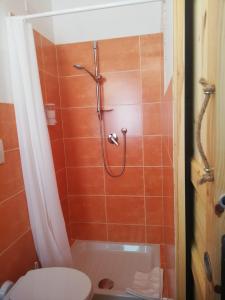 een badkamer met een douche, een toilet en een wastafel bij Agriturismo L'Arco in Guarcino