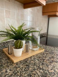 Kuchyň nebo kuchyňský kout v ubytování Namar apartamento