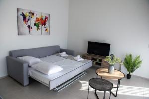 uma sala de estar com um sofá e uma televisão em LUXURY AUTONOMOUS GROUND FLOOR APARTMENT em Igoumenitsa