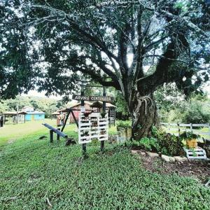 a sign in the grass next to a tree at Chalés e Camping Taquaral in São Thomé das Letras