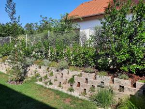 een tuin met een steunmuur met planten bij Apartments in Siofok - Balaton 41945 in Siófok