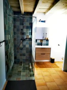 a bathroom with a shower and a sink at Case Lénaron in Saint-Joseph