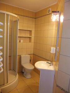 ein Bad mit einem WC, einem Waschbecken und einer Dusche in der Unterkunft Jasionowy Gaj in Jasionowo