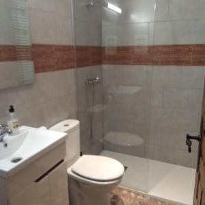 a bathroom with a toilet and a sink and a shower at Casa rural la Era del Malaño in Nuévalos