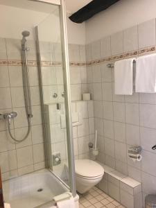 een badkamer met een toilet en een glazen douche bij Alt Warburg in Warburg