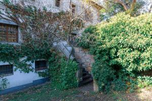 Ogród w obiekcie Casa Rural La Central-La Higuerilla