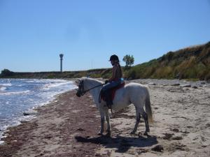 a woman riding a white horse on the beach at Inselhaus OG in Staberdorf