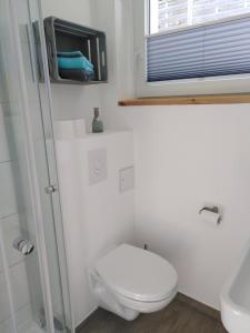 een badkamer met een toilet en een glazen douche bij Meerchenhaus "Lagune" in Grömitz
