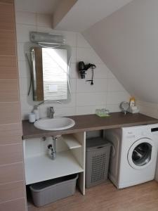 a bathroom with a sink and a washing machine at Apartmaji Mojca in Bohinj