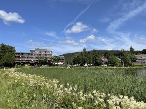 ein Grasfeld mit Gebäuden im Hintergrund in der Unterkunft Haus Vier Jahreszeiten am See Vier Jahreszeiten - HS 221 in Goslar