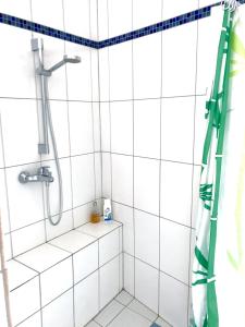 a white tiled bathroom with a shower stall at Transylvania Escape in Richişu